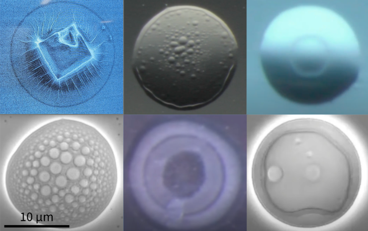 Aerosol microscopy images